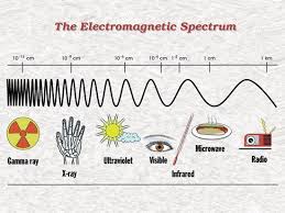 Size Of Waves In The Electromagnetic Spectrum Electromagnetic Spectrum Physical Science Science