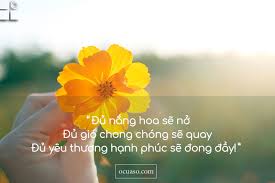 Káº¿t quáº£ hÃ¬nh áº£nh cho HINH ANH DEP VE TRAITIM TAN VO