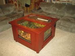 Frogs In First 21 Coffee Table Vivarium Frog Terrarium Vivarium