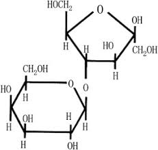 Image result for Lactulose