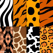 4.5 out of 5 stars. Set Of Seamless Animal Print Pattern Vectors Free Image By Rawpixel Com Manotang Animal Print Wallpaper Animal Print Background Animal Prints Pattern