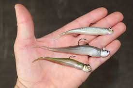 Coffee capsule machine manufacturers & suppliers. The Eyes Have It Bassmaster