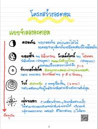 แบบจำลองอะตอม เคม ช วว ทยาศาสตร การศ กษา