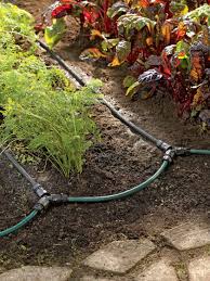 Check spelling or type a new query. Irrigation Systems