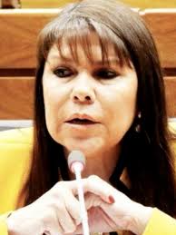 Diputados se ratifica en autoblindaje