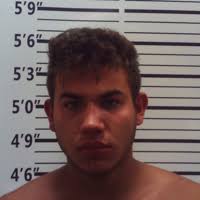 Woman in critical condition after being hit in backyard by erratic driver