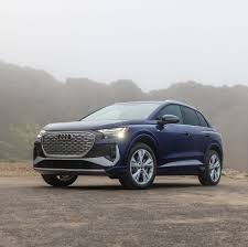 Image result for Navarra Blue 2024 Q4