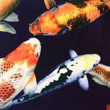 Kewwe ocean tropical fish shower curtain sea animal 60wx72h inch undersea underwater wild life blue marine coral turtle waterproof polyester fabric bathroom decorations with 12 hooks. Asian Koi Fish Pond Chinese Japanese Water Wave Sea Kona Bay Realistic Ocean Cotton Quilt Fabric Navy Kb33
