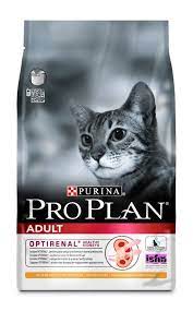 pin on cats stuff