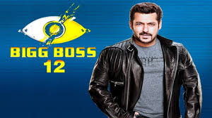 Image result for BIG BOSS 12