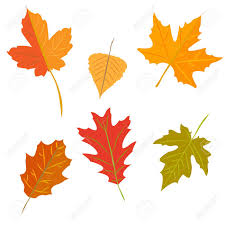 Autumn Leaves Set Isolated On White Background Simple Cartoon Royalty Free Cliparts Vectors And Stock Illustration Image 95802332 Download high quality fall leaves cartoons from our collection of 41,940,205 cartoons. autumn leaves set isolated on white background simple cartoon