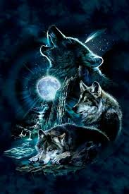 Pin By Rochelle Delesandro On Spirit Of The Wolf Wolf Spirit Animal Wolf Wallpaper Wolf Spirit