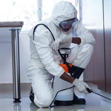Head office address (noida) : Top 10 Pest Control Services In Noida Thepackersmovers
