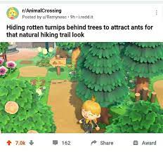 This Is Actually A Great Idea Animal Crossing Funny Animal Crossing Wild World Animal Crossing Game