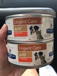 How much will i be charged? Hill S Prescription Diet Urgent Care Pet Supplies For Dogs Dog Food On Carousell