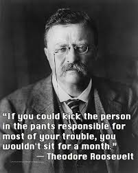 Introspective Quotes Roosevelt Quotes Words Inspirational Quotes