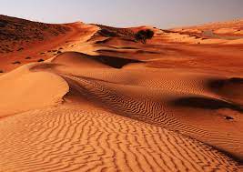La regione deriva il suo nome dalla tribù di bani wahiba. The 10 Best Wahiba Sands Sharqiyah Sands Tours Tickets 2021 Muscat Viator