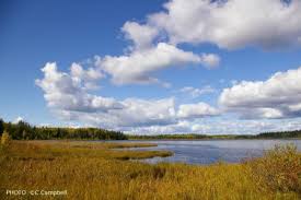 Alberta Government'S Parks Plan Another 'Download': Rural Municipalities  Group | Globalnews.Ca