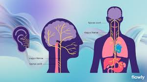 Breathing and vagus nerve activation