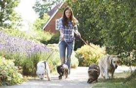 Maybe you would like to learn more about one of these? Why Choose Us Dog Walking And Pet Sitting By Veteran Pet Care