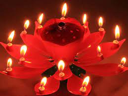 Explore more like gambar ulang tahun bergerak. Gambar Bunga Ulang Tahun Bergerak Gambar Viral Hd