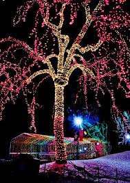 Week 51 Zoo Lights Zoo Lights Christmas Wonderland Christmas Light Displays