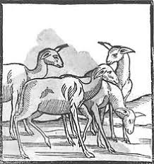 Please read how do i unhide my llama badge? Llama Wikipedia