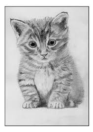 Facebook is showing information to help you better understand the purpose of a page. Cat Feline Drawing Free Image On Pixabay