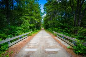 Hiking, biking, swimming and fishing are a few of the favorite things to do. Strasse Durch Einen Wald Bei Bear Brook State Park New Hampshire Lizenzfreie Fotos Bilder Und Stock Fotografie Image 59861683
