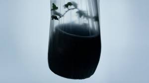 I don't tend toward first person narrative, and this book is written in multiple first person narrative. We Re Gonna Carry That Weight A Long Time David Farrier