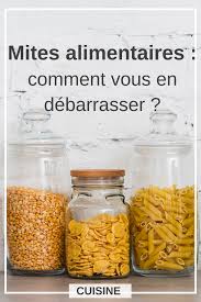 Sos Mites Dans La Cuisine Comment Les Eliminer Passionnement Organisee En 2020 Mites Alimentaire Anti Mites Alimentaires Cuisine