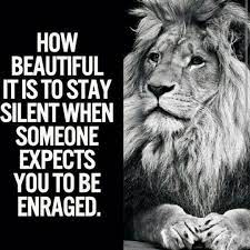 Pin By Narvin Brijmohan On Thoughts Warrior Quotes Short Inspirational Quotes Inspirational Quotes Motivation
