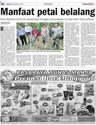 Dj ed channel 2.002 views1 year ago. Manfaat Petai Belalang Klik