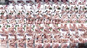 Gohaaard420 squirt + gato piensa que el juguete es prey - Best photos on  modelair.co.nz