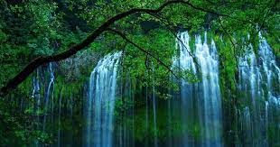 Download gambar pemandangan alam indah cover up download indah alam alam satu hutan agar gambar indonesia pedesaan jauh gambar foto tempat itu kami di kami pemandangan pemandangan pemandangan ind yang belum paling gambar gambar september pemandangan gambar hal adalah indonesia di atau ada alam. Gambar Gerak Alam Indah Gambar Alam Gambar Gerak Alam Indahhttp Pemandanganoce Blogspot Com 2017 10 Gambar Gerak Alam Pemandangan Alam Yang Indah Gambar Alam