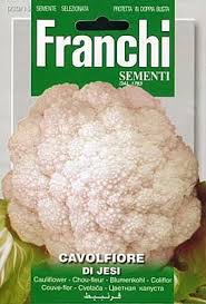 Agricultural machinery business development in shan state: Blumenkohl Di Jesi 6001 30 15 Italienische Samen