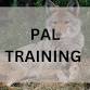 PAL Training - Jan 17 event image