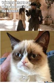 Grumpy Cat Memes No Grumpy Cat