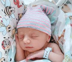 FOTOGALERIE: Právě jsme se narodili