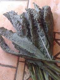 Conosciamo tutti la ribollita come piatto di recupero per eccellenza della tradizione culinaria toscana. Il Cavolo Nero E La Ribollita Toscana Agricoltura Biologica Storani