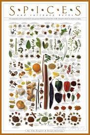 Spices And Culinary Herbs Posters Allposters Com Culinary Herbs Herb Art Cooking Prints