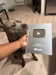 🎉 Exciting news! We've just received our YouTube plaque! 🐾 With over 580k  subscribers
