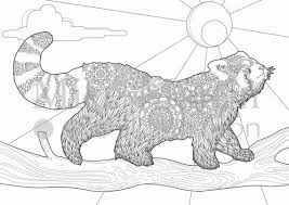 Fashionable outline of panda giant red black and white valentine. Red Panda Coloring Pages For Adults Coloring And Drawing