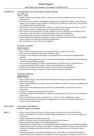 Livecareer provides examples with the best format, template and keyword options. Bank Auditor Resume Samples Velvet Jobs