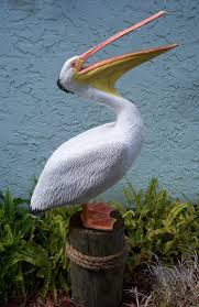 Sea Bird With Big Mouth Pelican Sea Birds Pelican Art Beautiful Birds