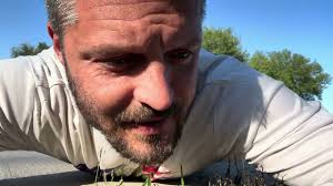 The weed killer that WORKS