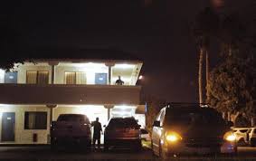 Lions fall to undefeated Widener