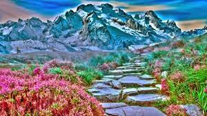 We did not find results for: Friday S Landscape Jigsaw Puzzle Lets Go For A Walk Play Free Daily Jigsaw Puzzles From Jigsawaday