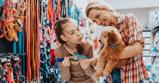 Il va bbeaucoup grandir ? Formation Conseiller Vendeur En Animalerie Culture Et Formation