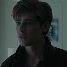 Wolfgang Novogratz Lit Es Nightwing